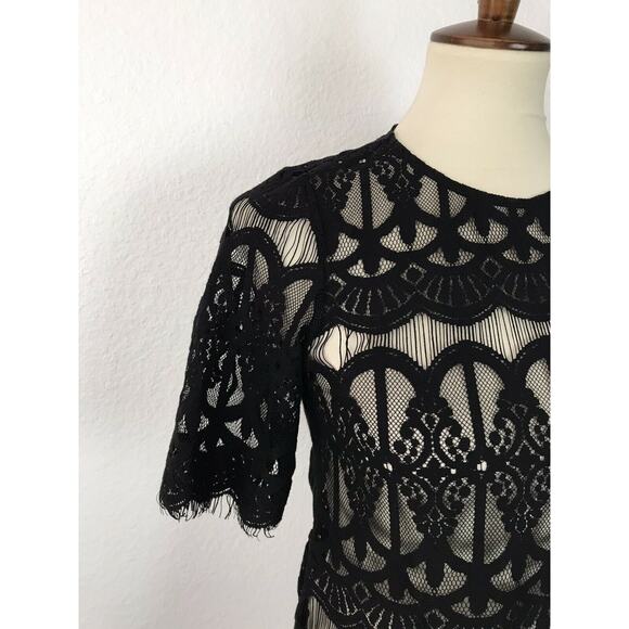 BCBGeneration Pullover Sheer Lace Fringe Trim Top - Picture 4 of 10